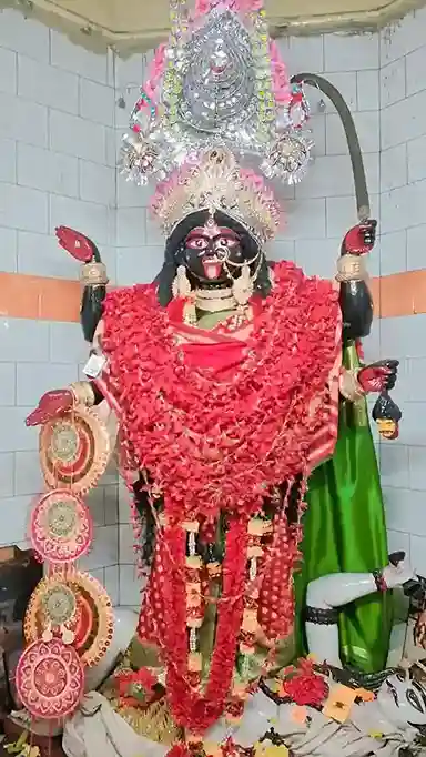 নবদ্বীপ মায়াপুর নদিয়া রানাঘাটের কাছে — Best Astrologer Nadia